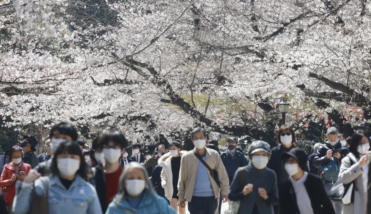 Orang-orang yang memakai masker berjalan di bawah bunga sakura di Tokyo, Selasa (23/3/2021). Mendekati musim semi dan mekarnya bunga sakura, banyak pemerintah daerah yang terus meminta warganya untuk tidak mengadakan pesta melihat bunga sakura (hanami). (AP Photo/Koji Sasahara)