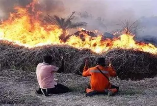 Pada 10 Agustus 2019 pagi, seluruh personil sejumlah 9.072 orang di 6 provinsi (Riau, Jambi, Sumatera Selatan, Kalimantar Barat, Kalimantan Tengah dan Kalimantan Selatan)  da masyarakat berupaya memadamkan api kebakaran hutan. (Dok Badan Nasional Penanggulangan Bencana/BNPB)