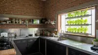 8 Model Dapur Minimalis Bentuk L dengan Tanaman Sayur di Botol, Estetik dan Fungsional