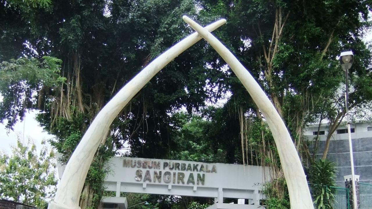 1. Sangiran adalah Warisan Budaya Dunia Terpenting