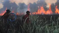Karhutla Hanguskan 107 Ribu Hektare Hutan dan Lahan di Indonesia