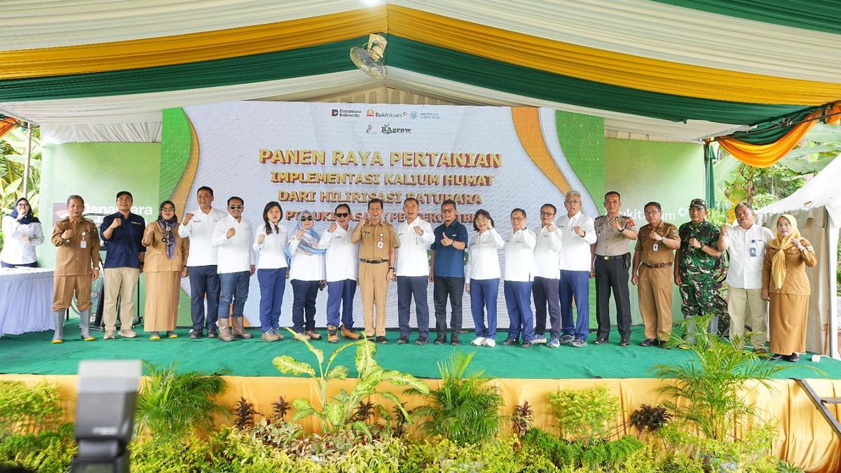 Produktivitas Padi Meningkat, PTBA Gelar Panen Raya Kalium Humat di Lahan 3,5 Hektare