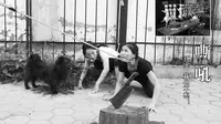 Festival "makan daging anjing" di Yulin membuat anggota dari grup China National Pole Dancing melakukan protes kekejaman terhadap anjing.