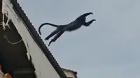 Saat Lutung Nyasar Buat Heboh Emak-Emak yang Sedang Mencuci: Seperti Monyet Tapi Kok Beda