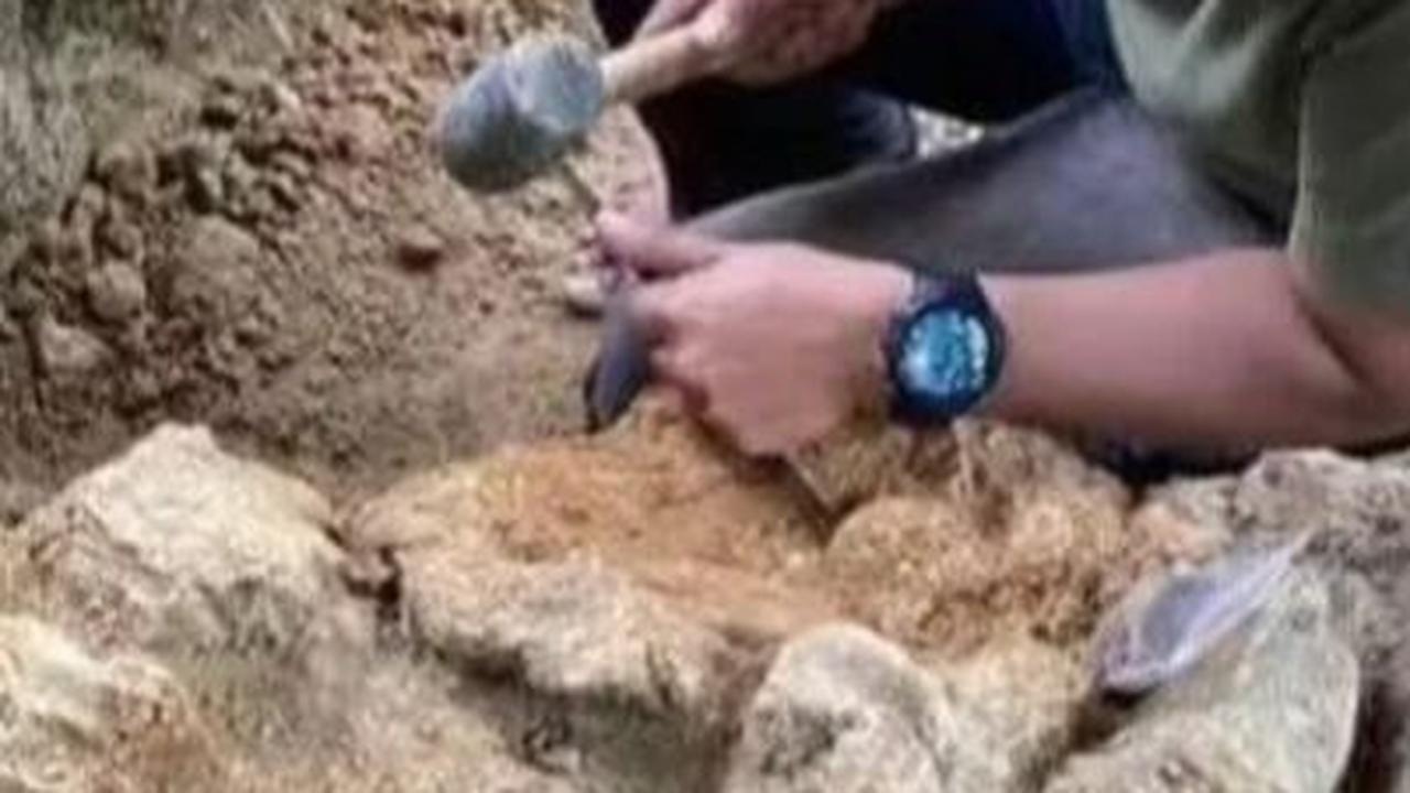 Menguak Fakta Fosil Utuh Gajah Purba di Patiayam Kudus, Diperkirakan Usianya Capai Jutaan Tahun