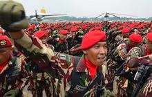 PDIP: TNI lahir dari rahim Ibu Pertiwi, hadir jadi tentara pejuang