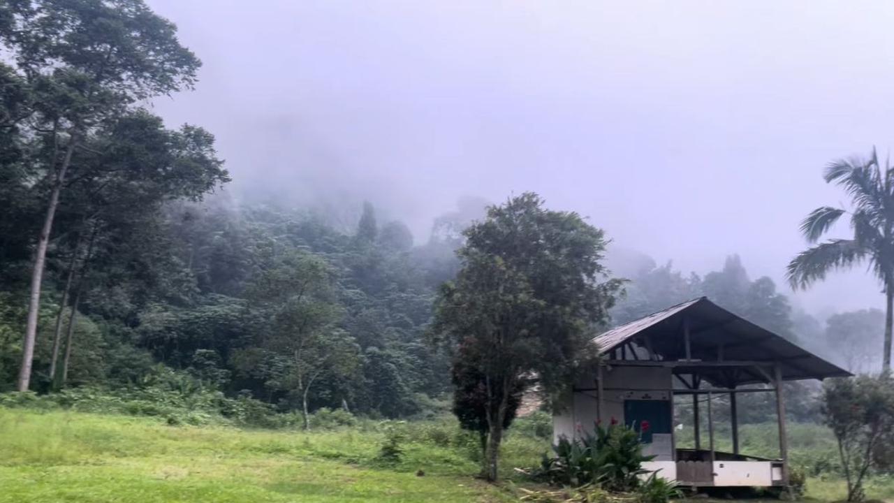 Hadirkan Pemandangan yang Indah