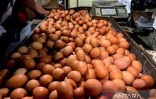 Harga Pangan Nasional Terkini: Telur Ayam Ras dan Cabai Rawit Merah Capai Level Rp32 Ribu dan Rp71 Ribu