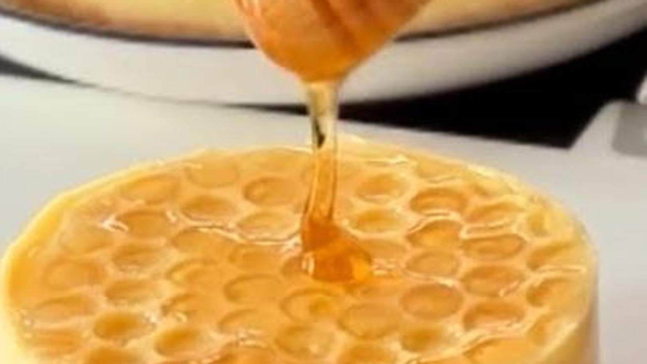 Honey Cheesecake Puding