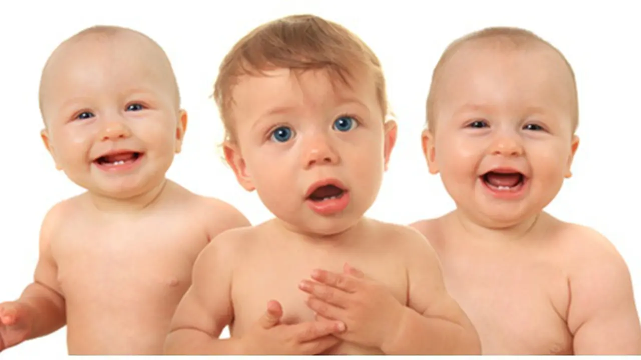 courtesy of Shutterstock