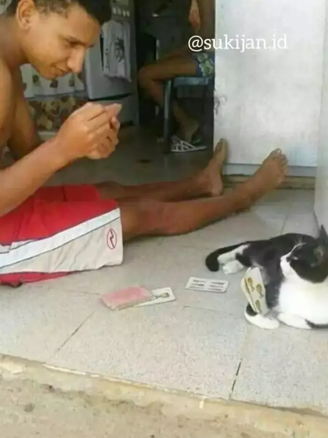 7 Potret Kucing Lagi Asik Bermain, Tingkahnya yang Bak Bocah Ini Bikin Gemas