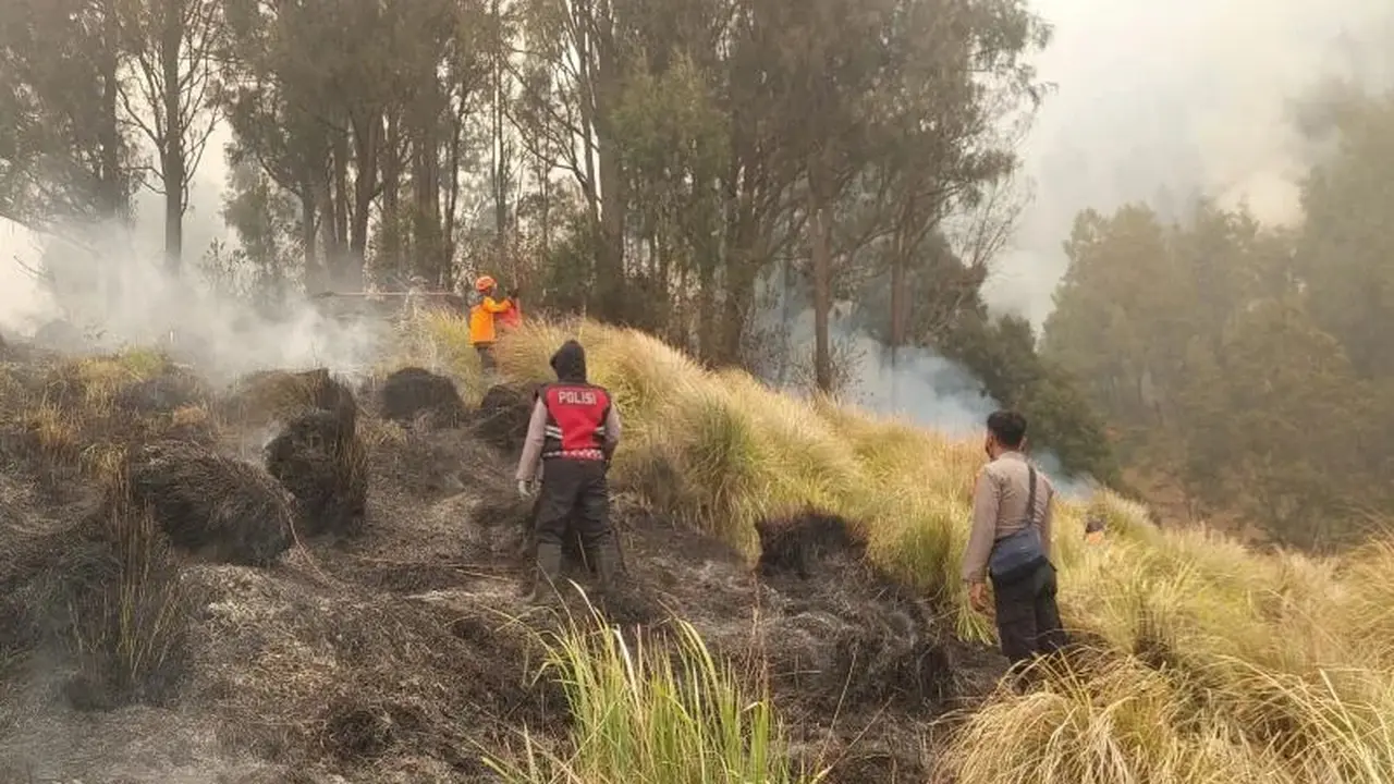 ​ Kebakaran Gunung Bromo Berulang, Kemenhut Terjunkan Tim Khusus dan Ahli Lingkungan