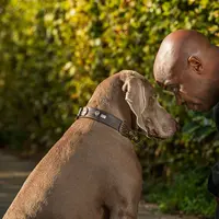 Inilah potret menggemaskan antara manusi dan binatang kesayangannya. Tapi nomor 7 dan 10 jangan ditiru ya.