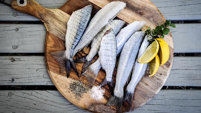 Cara Menyimpan Ikan Agar Tahan Lama di Lemari Es ...