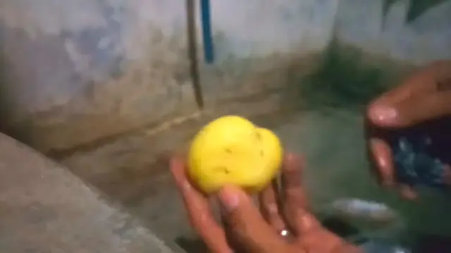 Modal 1 Alat, Ini Cara Mudah Kupas Kulit Kentang Tanpa Direbus