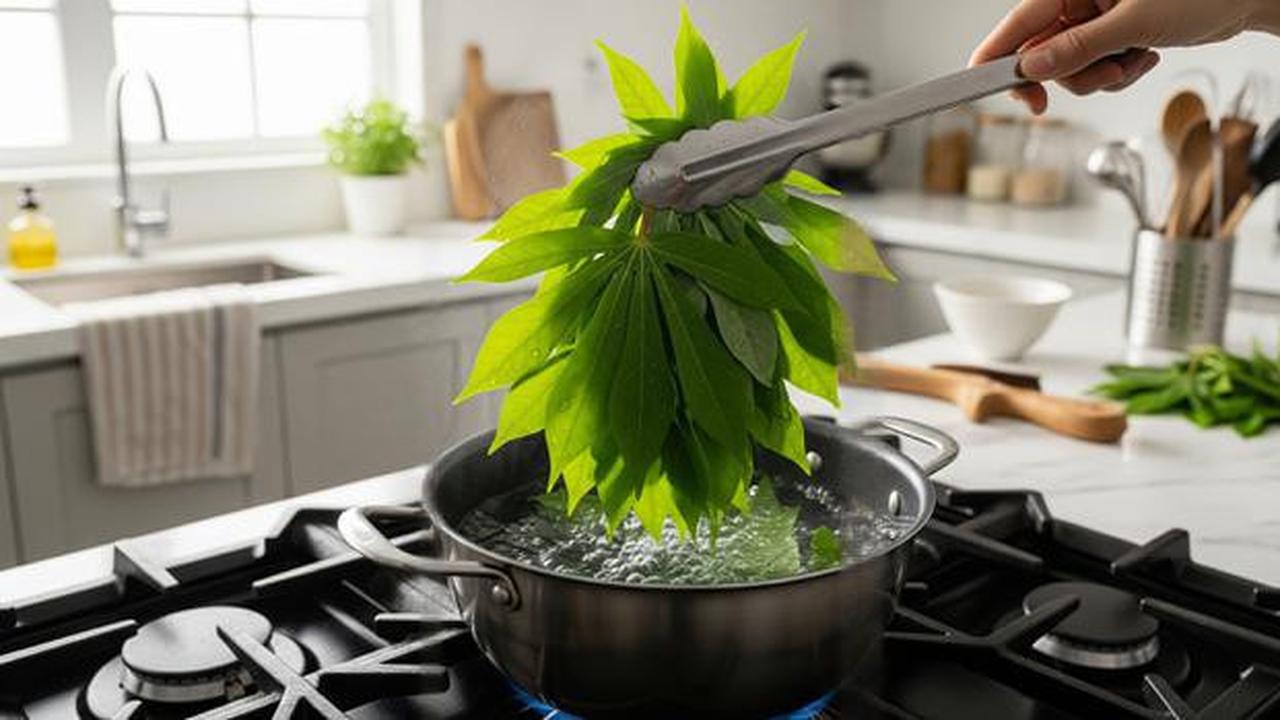 Cara Rebus Daun Singkong Seperti di Rumah Makan Padang, Hijau Segar dan Empuk