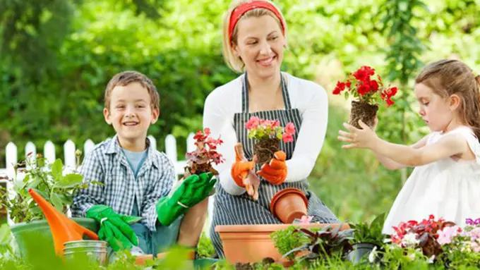 Foto: copyright Thinkstockphotos.com