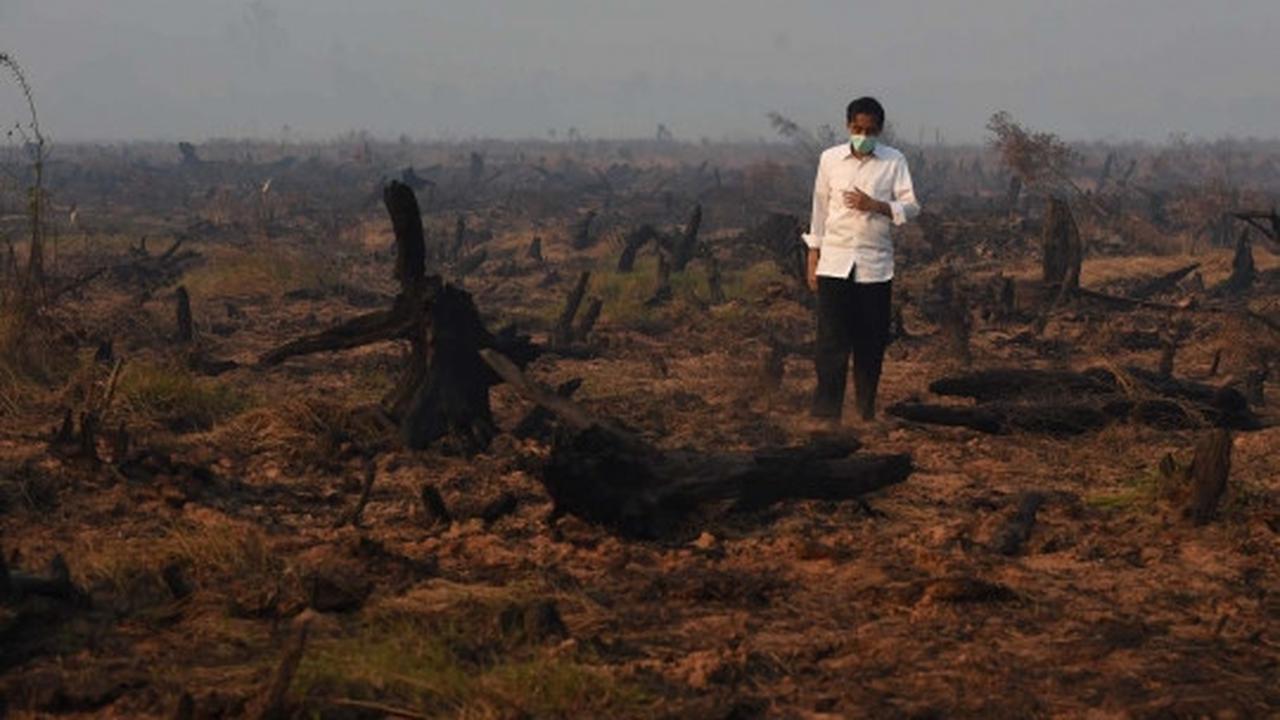 Aksi Jokowi tinjau langsung kebakaran hutan di Kalimantan