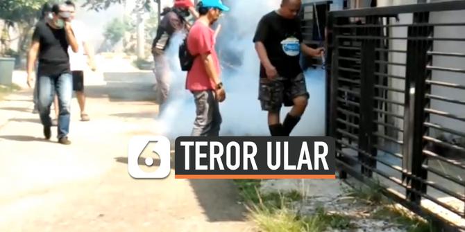 VIDEO: Teror Ular, Warga Belum Menemukan Induk Kobra