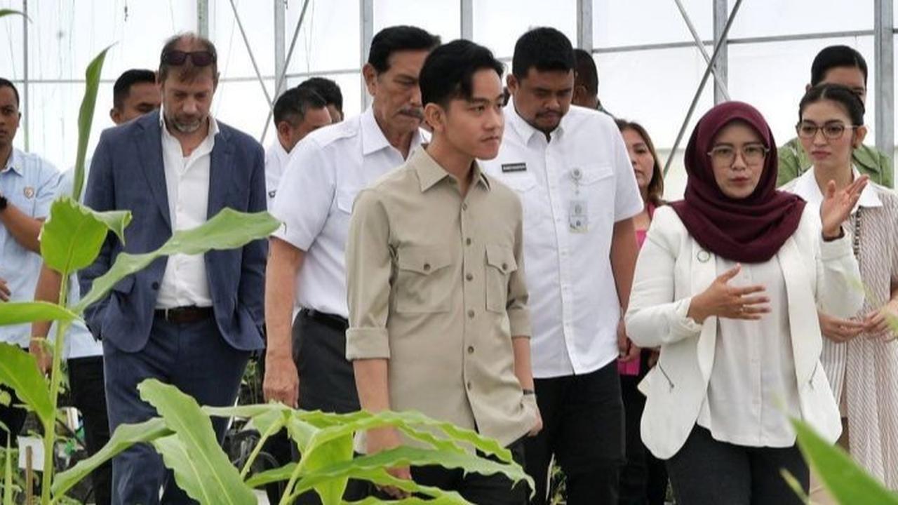 VIDEO: Momen Gibran Blusukan Ditemani Bobby & Kahiyang, Ketua DEN Luhut Pandjaitan Ikut Turun