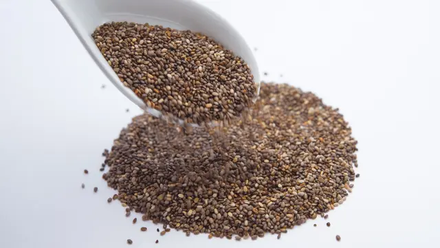 Ilustrasi chia seed
