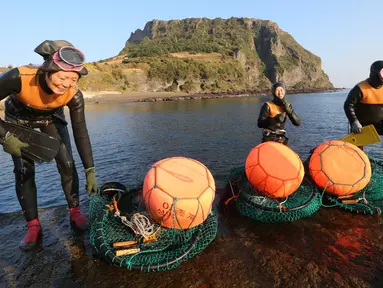 Haenyeo Korea Selatan keluar dari air setelah menangkap kerang dan abalone di pulau Jeju, 23 November 2018. Haenyeo merupakan sebutan untuk para penyelam wanita yang berasal dari pesisir Korea dengan jangka umur 35 sampai 90 tahun. (AP/Ahn Young-joon)