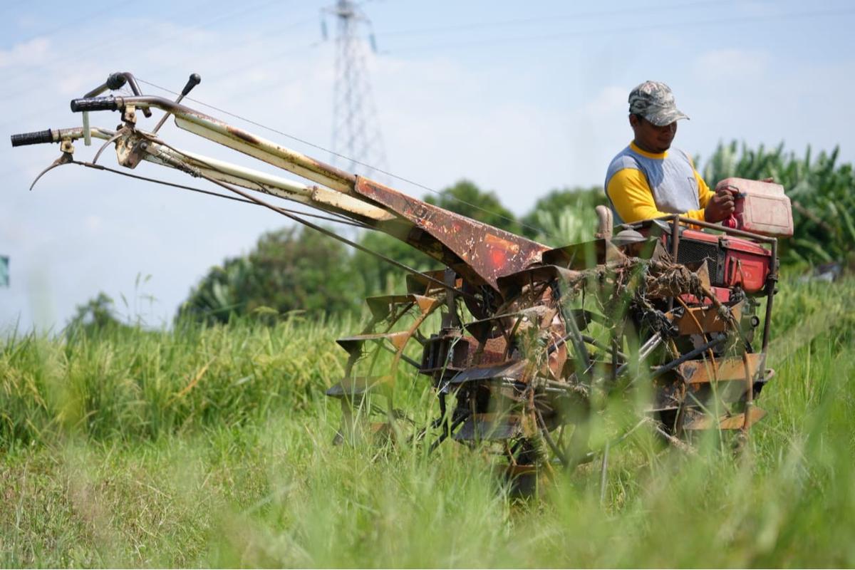 Petani mengisi Jenis Bahan Bakar Minyak (BBM) Tertentu solar untuk mesin bajak di Cirebon, Jawa Barat, medio 2025 lalu.