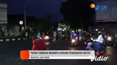 Pohon berukuran besar tumbang dan menimpa mobil pribadi berwarna putih di pinggir jalan raya Magetan arah Madiun, Kecamatan Takeran terjadi pada Kamis sore (19/11). Warga sekitar dan petugas gabungan langsung membersihkan pohon tumbang.
