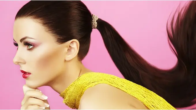 copyright by shutterstock.com