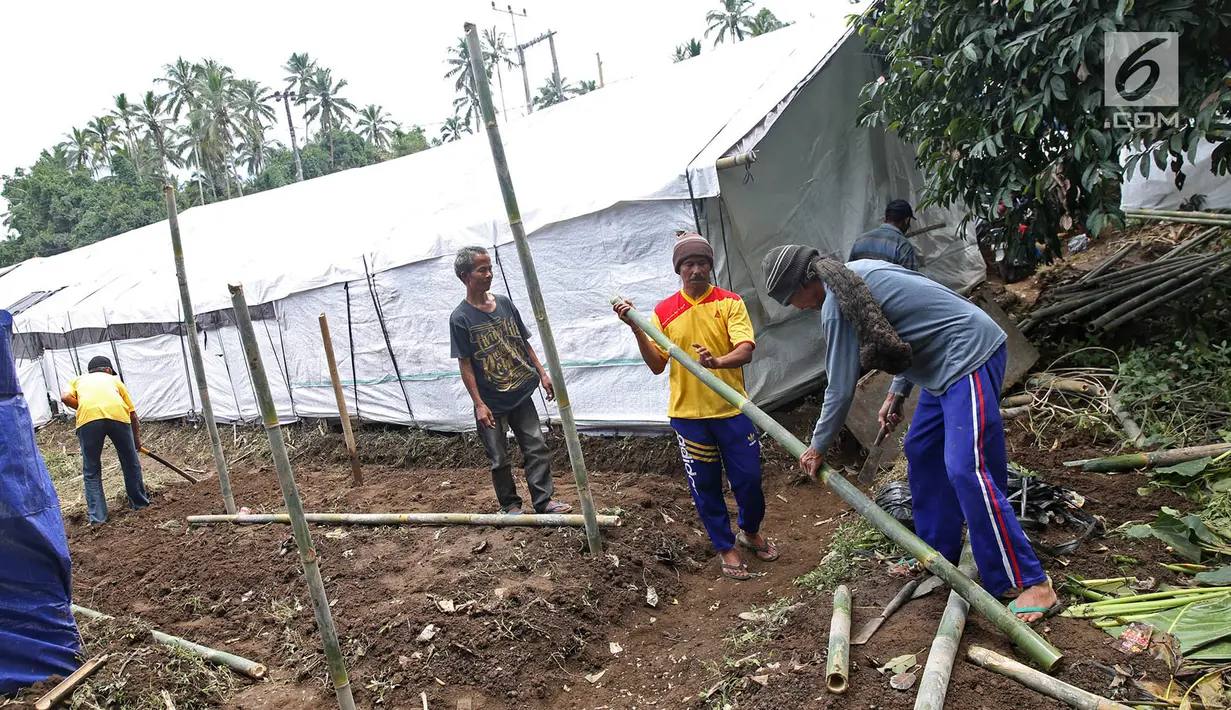 Pengungsi Gunung Agung menyusun bambu untuk membangun tenda di Posko Pengungsi Rendang, Bali, Sabtu (2/12). Mereka mendirikan tenda untuk tempat tinggal sementara. (Liputan6.com/Immanuel Antonius)