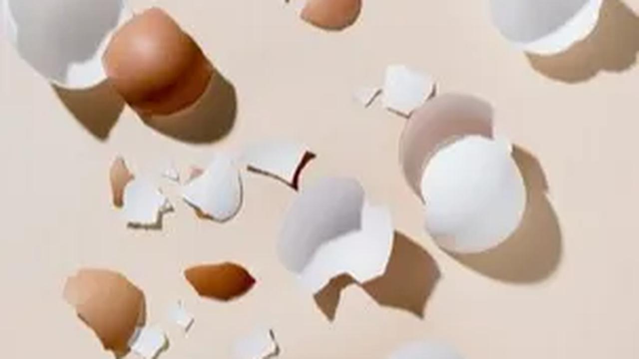 10 Manfaat Lain dari Cangkang Telur