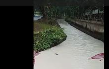 Sungai Cisadane Tercemar Pestisida, Begini Cara Meminimalisir Dampaknya untuk Manusia