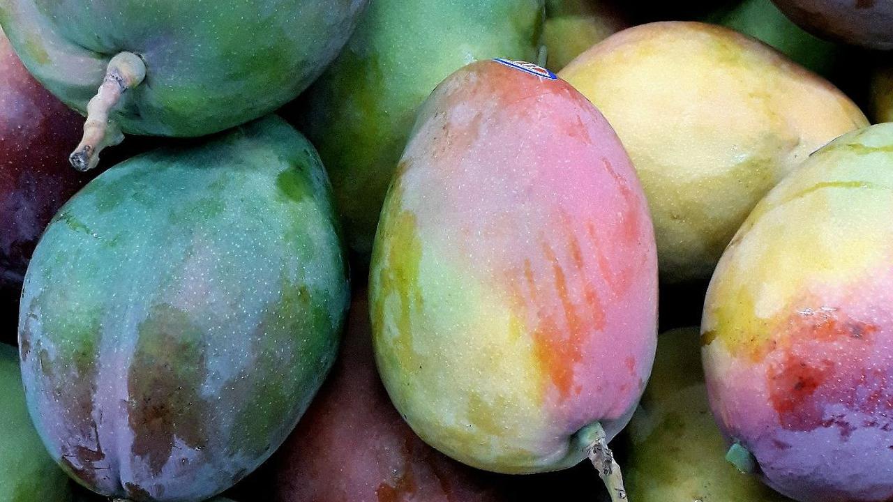Dalam unggahan Liu bahkan sejumlah pengguna dunia maya berkomentar ingin menjadi "tante" dari biji mangganya.

"Apakah kondisoner dan krim kulit bisa membuat rambutnya lebih halus?" tanya seorang pengguna.