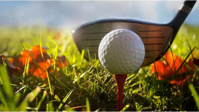 Courtesy ListVerse.com