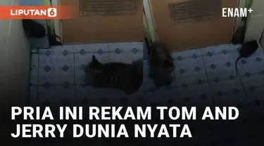 Momen menegangkan dan kocak dialami oleh seorang pria ini ketika meminta tolong kucingnya untuk mengusir tikus di kamar mandi