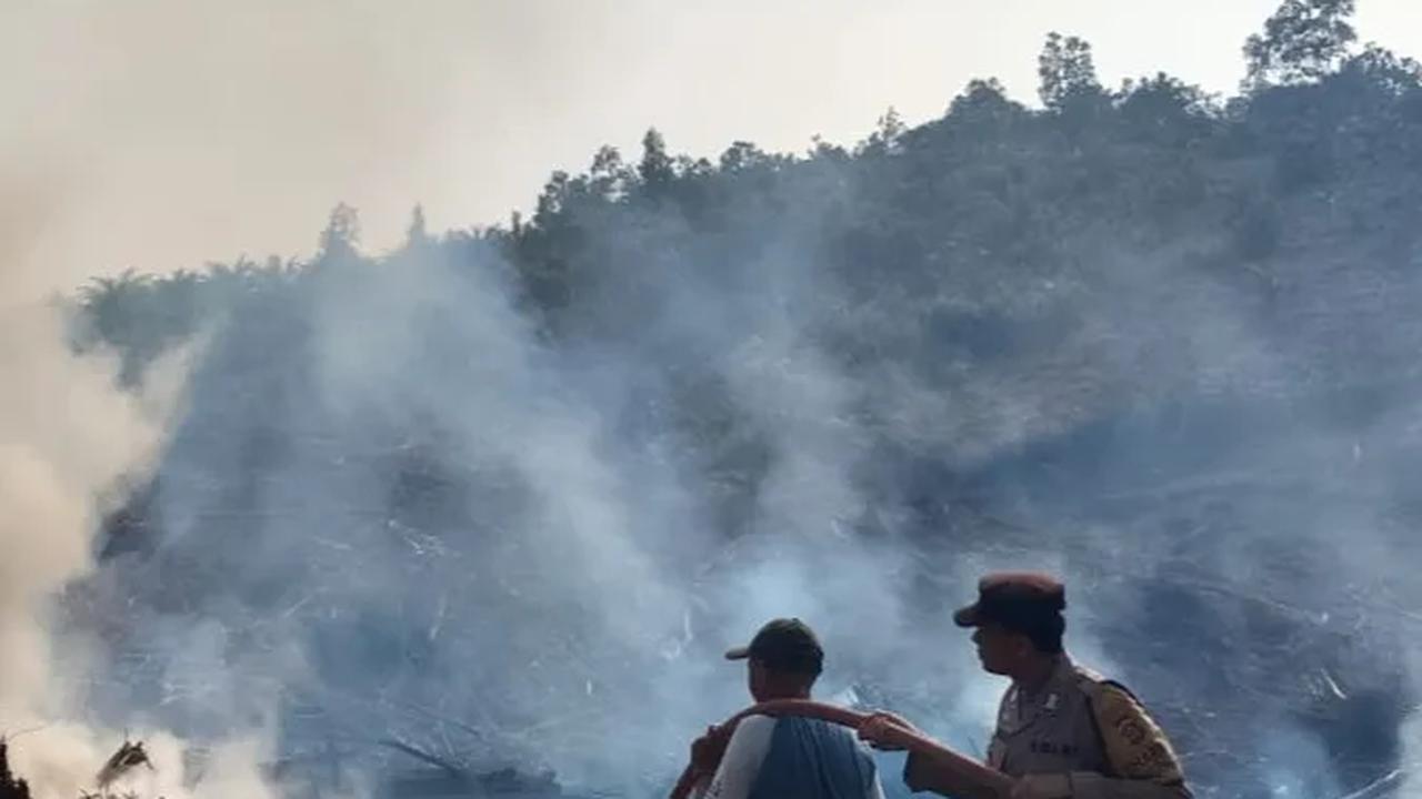 Karhutla Padam, Ini Momen Suka Cita Tim Manggala Agni Sujud Syukur sampai Lempar Helm di Tengah Hujan