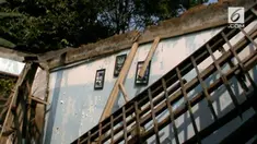 Gedung SDN 08 kecamatan Ciomas Bogor Roboh, sehingga nyariis tidak ada lagi ruang kelas yang digunakan dalam proses belajar mengajar, akibatnya murid belajar di lapangan milik sekolah
