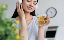 Biar Fokus, Begini Cara Memilih Headphone Buat Kerja yang Bagus