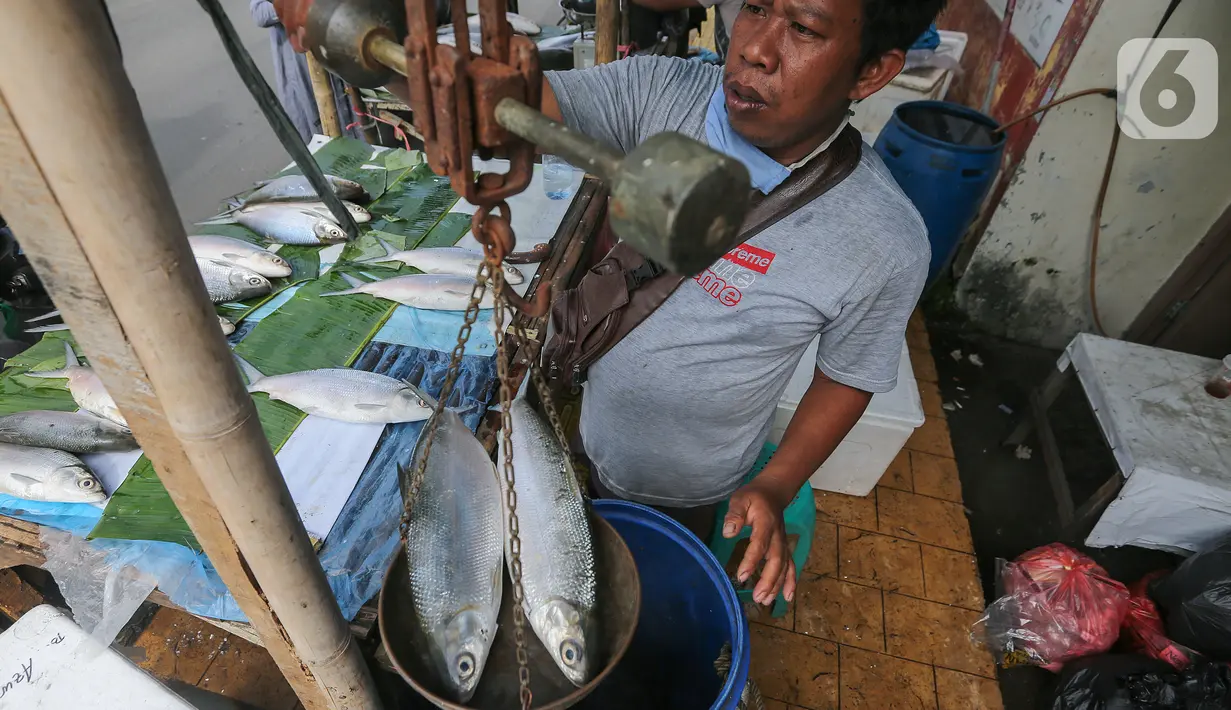 Pedagang menimbang berat ikan bandeng dari air tambak di kawasan Rawa Belong, Jakarta, Rabu (10/2/2021). Menjelang perayaan Imlek atau Tahun Baru China, ikan bandeng yang mencapai berat 1 - 5 kilogram dijual dengan harga Rp 60 ribu hingga 100 ribu per kilogram. (Liputan6.com/Fery Pradolo)