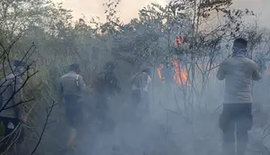 Kebakaran Way Kambas Meluas, Diduga Sengaja Dibakar