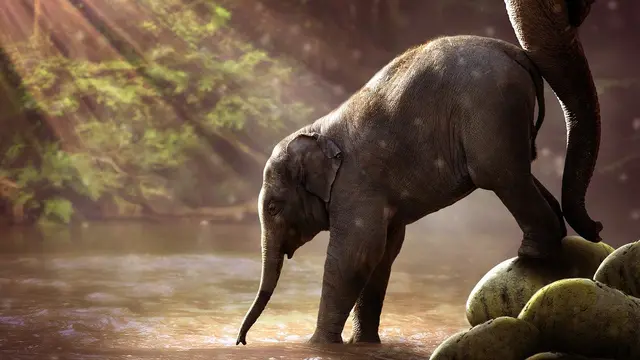 7 Arti Mimpi Gajah, Pertanda Mendapat Keberuntungan Melimpah
