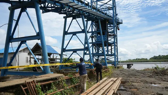 Selamatkan Pesut Mahakam dari Kepunahan, 2 Perusahaan Pengangkutan Batu Bara Dilarang Beroperasi