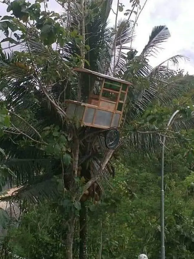 6 Foto Kendaraan Nyangkut, Bikin Enggak Habis Pikir