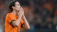 Daryl Janmaat Holland National Football Team (AFP/ Patrik Stollarz)