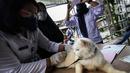 Dokter hewan dari Dinas Ketahanan Pangan dan Pertanian menyuntikkan vaksin rabies pada seekor kucing di Jakarta, Rabu (27/10/2021). Vaksin rabies untuk hewan peliharaan warga ini merupakan program Pemda untuk menjadikan kota Jakarta menjadi ramah hewan atau tanpa rabies. (Liputan6.com/JohanTallo)