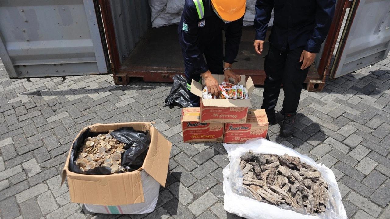 Tiga Ton Sisik Trenggiling Hendak Diselundupkan ke Kamboja, Harganya Tembus Rp183 Miliar