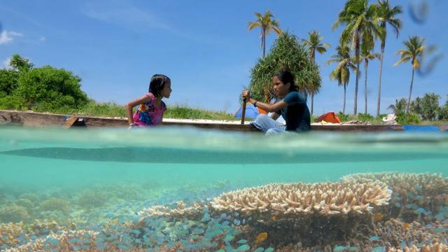 Savana yang menjadi salah satu pesona pulau ular Buton Selatan.(Liputan6.com/La Dicky Milar Untuk Ahmad Akbar Fua)