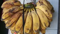 12 Ide Jualan dari Pisang Kepok yang Menguntungkan dan Mudah Dipraktikkan