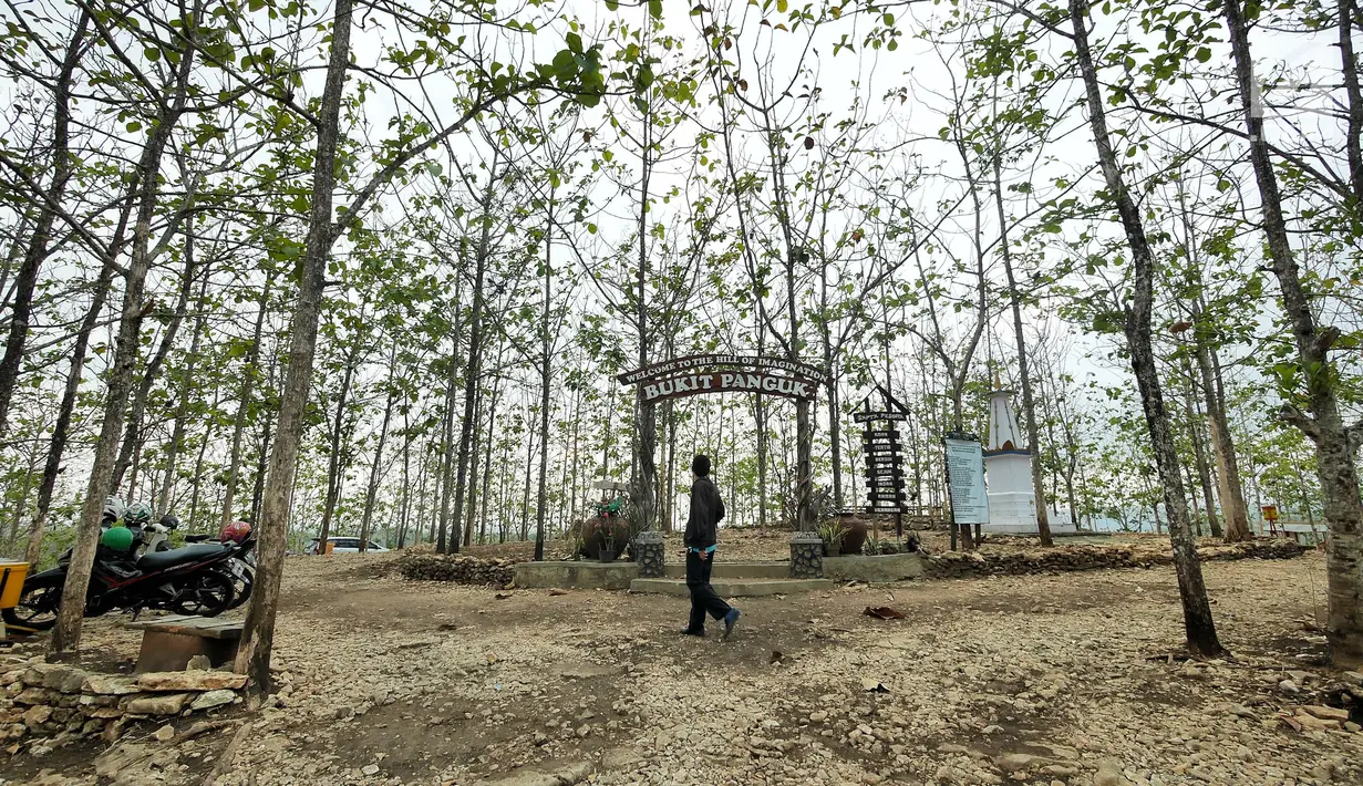 Seorang pria menikmati suasana Bukit Panguk Kediwung, Bantul, Yogyakarta (16/10). Bukit Panguk Kediwung dibuka untuk umum sekitar pertengahan 2016 oleh masyarakat setempat dan menawarkan keindahan sunrise di atas awan. (Liputan6.com/Herman Zakharia)