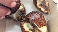 Buntut Temuan Cicak di Menu MBG, Operasional SPPG di Citamiang Sukabumi Dihentikan Total